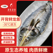 知吃甄選開(kāi)背鱘魚(yú)500g冷凍生鮮美味魚(yú)類(lèi)淡水魚(yú)無(wú)刺魚(yú)肉開(kāi)袋即烹免殺免洗