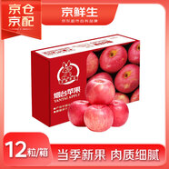 京鮮生 煙臺紅富士蘋果 凈重5.2斤/12粒  單果190-240g  生鮮禮盒