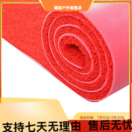 寶麗美廠(chǎng)家批發(fā)寶麗美PVC塑料絲圈地毯地墊走廊展廳進(jìn)門(mén)口鋪滿(mǎn)防滑蹭土 紅色8AB 120cm*1800cm 寶麗美絲圈整卷