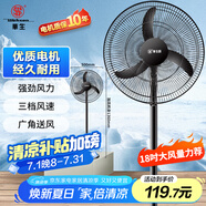 華生（Wahson）電風(fēng)扇家用落地扇交流定頻電扇立式工業(yè)扇18吋牛角扇低噪大風(fēng)量宿舍辦公車間商用強(qiáng)力風(fēng)扇FS-D1806