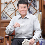 SEPTWOLVES七匹狼旗下爸爸襯衫中老年人男長(zhǎng)袖純棉麻薄款寬松60-70-80歲爺爺 淺灰細(xì)條紋棉麻細(xì)條紋長(zhǎng)袖 XL 42碼/180/適合150斤左右