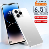 金立全新256G靈動(dòng)島智能手機可用5G卡游戲電競超薄大屏學(xué)生安卓百元老人機全網(wǎng)通4g便宜長(cháng)續航 白色 8核+256G