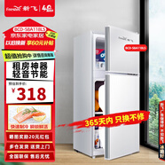 新飛（Frestec）小冰箱迷你小型雙門家用 宿舍出租房辦公室冷藏冷凍電冰箱節(jié)能省電 爆款推薦【一級(jí)能效】 BCD-58A太空銀