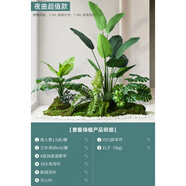 喆煒塑料仿真花類(lèi)田園風(fēng)格綠植仿真綠植盆栽室內盆景裝飾 餐廳場(chǎng)景綠 夜曲超值款/套