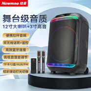紐曼（Newmine）N532 12寸廣場舞音響戶外大音量高音質(zhì)重低音藍(lán)牙音箱高保真實用移動便攜式喇叭帶麥克風(fēng)超長續(xù)航