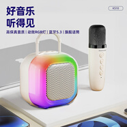 紐曼Newmine手提音響一體帶話(huà)筒k歌家庭KTV自帶聲卡藍牙音箱KS10 KS10