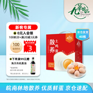 九華糧品 散養土雞蛋40枚 凈重3.2斤 農家柴雞蛋 笨雞蛋 禮盒
