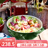 琺寶（staub）陶瓷碗大號沙拉碗家用甜品碗泡面湯碗面碗烘焙雙耳飯碗 25cm 蒔蘿綠