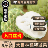 【順豐】牛奶釋迦果 水果新鮮佛頭大目林檎鳳梨玫瑰冰淇淋番荔枝 【精品大果】5斤|5-10枚-凈重4.5斤 現貨