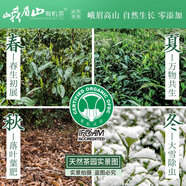 峨眉山有機茶春茶綠茶新茶遇仙禮盒裝四川特級高山春青色茶葉 48g