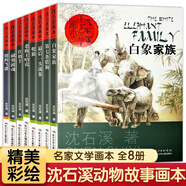 動物小說大王沈石溪畫本輯全8冊第七條獵狗 最后一頭戰(zhàn)象7-14歲兒童文學推薦閱讀彩圖插畫書三四五六年級課外閱讀小學生課外書