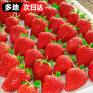 田拾記紅顏草莓云南曲靖酸草莓非丹東99牛奶草莓水果新鮮送禮品物 4盒禮盒裝【劃算】 15粒裝丨單果18-25g【更大更甜】