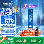 西部數(shù)據(jù)（WD）筆記本臺式機電腦 SSD固態(tài)硬盤 SA510 SATA M.2 Blue系列 3D技術 高速讀寫 WD Blue M.2 | 性能款 500G