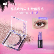 Urban Decay衰敗城市ud粉牛郎眼影單色盤高光彩閃片美妝生日禮物送女友