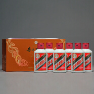 茅臺（MOUTAI）生日禮盒 100ml*6瓶 i茅臺飛天茅臺小可愛 醬香型白酒 小瓶 送禮 53度 100mL *6瓶單盒裝【2024