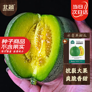 北蔬 冰翡翠甜瓜種子種苗超甜綠寶石香瓜水果籽 冰翡翠甜瓜種子約50粒