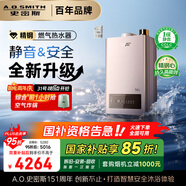 史密斯（A.O.SMITH）16升精鋼燃氣熱水器 國家補貼 1級靜音認證 安全守護 JSQ31-EDQ6 新品
