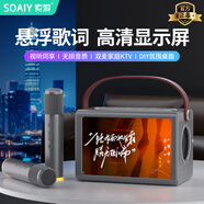 索愛(ài)（soaiy）BK25懸浮歌詞音箱一體麥克風(fēng)無(wú)線(xiàn)藍牙家庭ktv唱歌神器客廳音響套裝自帶聲卡 深灰色【雙話(huà)筒】