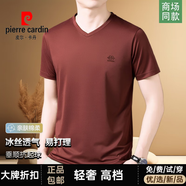 皮爾卡丹（pierre cardin）高檔正品廣東普寧男士短袖t恤衫夏季薄款冰絲無痕抗皺V領(lǐng)半袖體恤 酒紅【高品質(zhì) 放心購買】 M (165) 建議【95-115斤】