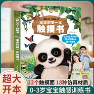 寶寶的第一本觸摸書(shū) 0-2歲兒童早教繪本觸感嬰兒書(shū)感官刺激那么大地板書(shū)1歲撕不爛立體兒童讀物2-3歲啟蒙看圖認(rèn)知學(xué)習(xí)益智翻翻書(shū)幼兒童禮物 【超大地板書(shū)】寶寶的第一本觸摸書(shū)