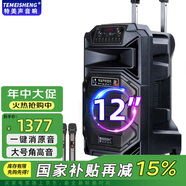 TEMEISHENG 特美聲SL12-31廣場(chǎng)舞音響戶外低音炮大音量家用k歌唱歌便攜式藍(lán)牙移動(dòng)戶外音響大功率藍(lán)牙音箱 12寸標(biāo)配+2支無(wú)線話筒+大禮包