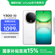 vivo Y300 國家補貼 新一代超級揚聲器 6500mAh超薄藍海電池 超抗摔護眼直屏 拍照 AI 手機 瑞雪白 12GB+256GB 官方標配