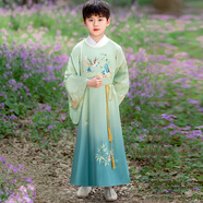 依儷烏兒童漢服男童2025新款古裝演出服中國風唐裝女童古風超仙連衣裙女 瑤光綠 110