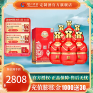 瀘州老窖定制酒生肖文化紀(jì)念酒52度520ml濃香型白酒禮盒收藏送禮 52度 520mL 6瓶 (整箱)