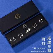 桑瑪S925銀針一周耳釘女款輕奢小眾耳飾感耳環(huán)送女友生日禮物 T95(不規(guī)則耳釘禮盒)含銀針證書(shū)