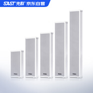 先科（SAST）S2室外防水掛壁音響戶外音柱 壁掛音箱學(xué)校店鋪掛墻式公共廣播喇叭音箱背景音樂揚(yáng)聲器（30W）