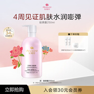 安婕妤（ANGLEE）膠原露爽膚水院裝補(bǔ)水保濕柔膚水舒緩肌膚滋養(yǎng)保濕露官方旗艦正品 250ml