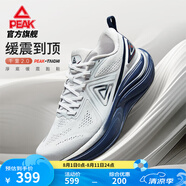 匹克態(tài)極千里2跑步鞋男寬楦減震透氣運動鞋穩(wěn)定支撐黑色慢跑鞋休閑鞋 【男款】淺灰/深蘭 44