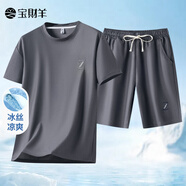寶財羊夏季冰絲休閑套裝圓領(lǐng)短袖T恤男兩件套中年爸爸夏裝中老年人衣服 灰色 M (170)