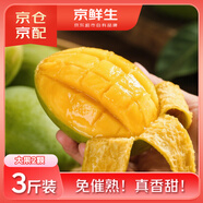 京鮮生 【即食】凱特芒果 3斤嘗鮮裝 大果2顆 生鮮水果