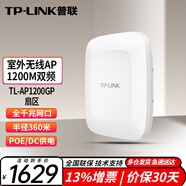 普聯(lián)（TP-LINK）室外高功率無線AP 無線wifi接入點 工業(yè)級AP 【1200M室外扇區(qū)AP】TL-AP1200GP