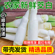 良知農(nóng)哥高山新鮮茭白 農(nóng)家新鮮蔬菜高筍 茭瓜 健康輕食 3斤 順豐快遞 【帶殼發(fā)貨】