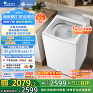 小天鵝（LittleSwan）波輪洗衣機(jī)全自動 12公斤 小烏梅輕奢版【TB12VE20DW】水魔方防纏繞 家電國家補(bǔ)貼20%