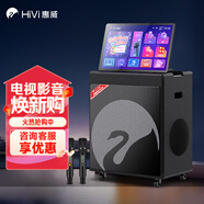 惠威（HiVi）家庭KTV音響套裝戶(hù)外K歌專(zhuān)用一體機廣場(chǎng)舞音響帶顯示屏卡拉OK電視同屏全套設備家用點(diǎn)歌機MS52