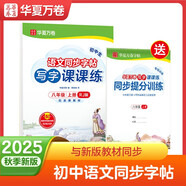 【2025秋新】華夏萬卷八年級上冊語文同步練字帖初中生寫字課課練初二人教版正楷書法練字本（共2冊）