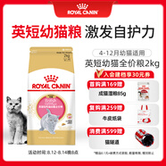 皇家貓糧 英短幼貓糧 BSK38 通用糧 4-12月 2KG