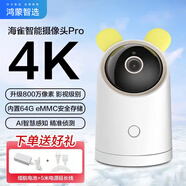 華為智選 攝像頭海雀高清2K智能室外防水家用監(jiān)控攝像 全景戶外全彩旋轉云臺無線wifi手機遠程 【旗艦款】800萬+4K超高清+64G內存 標配+禮包+64G卡