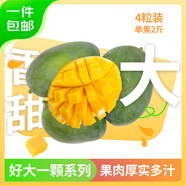 京鮮生 攀枝花好大一顆凱特芒 單果2斤 4粒8斤裝 生鮮水果 源頭直發(fā)