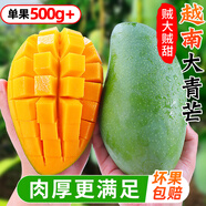 越南大青芒10斤整箱孕婦生吃酸脆云南紙核青芒果應(yīng)季進口新鮮水果 小果【單果400g+】 1斤裝