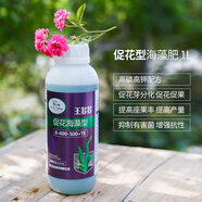種花王大爺 王多多海藻花肥營(yíng)養液高磷高鉀肥料促花促果有機濃縮 王多多 促花型海藻肥1.6kg