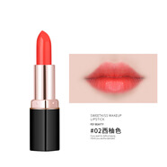 菲美人 FEY BEAUTY豆沙色口紅自然適合媽媽用的口紅黃皮素顏媽媽用的口紅送媽媽禮物 02#西柚色