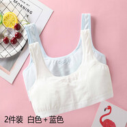 青春期女生內(nèi)衣美背發(fā)育期中小學(xué)生初中高中生女童發(fā)育期小背心文胸歲大童初中高中小學(xué)生少女內(nèi)衣 女生內(nèi)衣高中生內(nèi)衣初中生內(nèi)衣7305白色+藍(lán)色 80A(建議70-88斤）