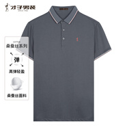 才子（TRIES）商務(wù)休閑POLO衫夏季短袖撞色條紋翻領(lǐng)T恤桑蠶絲柔順透氣時(shí)尚上衣 灰色 XL 50(175/92A)