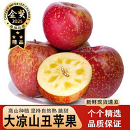 鯨咚億農(nóng)鹽源冰糖心丑蘋果大涼山丑蘋果脆甜冰糖心蘋果新鮮水果年貨禮盒 9.5-10斤大果精選帶箱凈重8.6斤