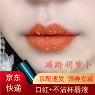 蘭奕（LANYI）口紅不掉色不沾杯肉桂奶茶色防水素顏顯白裸色滋潤(rùn)口紅 601#胡蘿卜色_防水不掉色