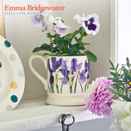 EMMA BRIDGEWATER中號杯子馬克杯鳶尾藍系列陶瓷釉下彩水杯咖啡杯中秋送禮